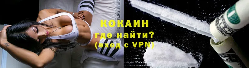 COCAIN Fish Scale  Гороховец 