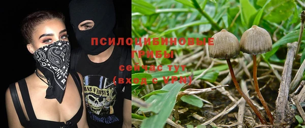 крисы Балабаново