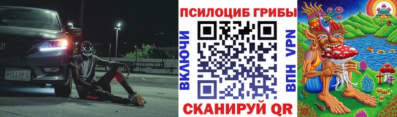 Псилоцибиновые грибы прущие грибы  kraken ТОР  Гороховец  наркотики 